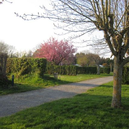 Des emplacements végétalisés