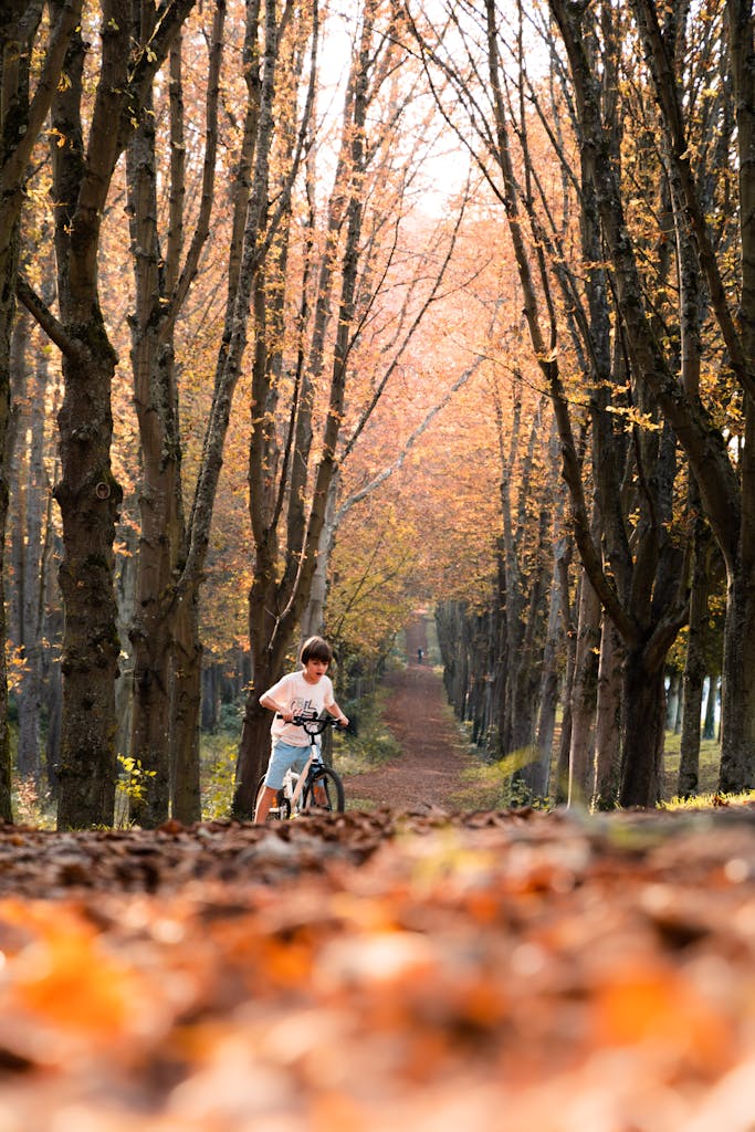 Child biking through a scenic autumn pathway lined with orange-leaved trees in Sceaux, France.